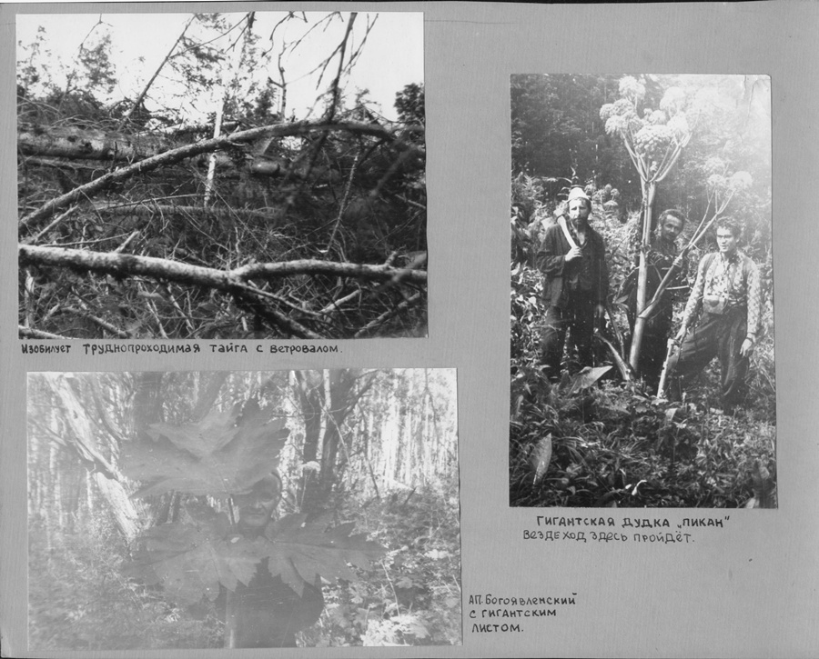 История ВИРГА в фотографиях с 1951 до 1984 года. Краснов Андрей Иванович.