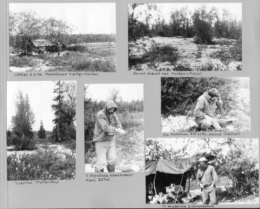 История ВИРГА в фотографиях с 1951 до 1984 года. Краснов Андрей Иванович.