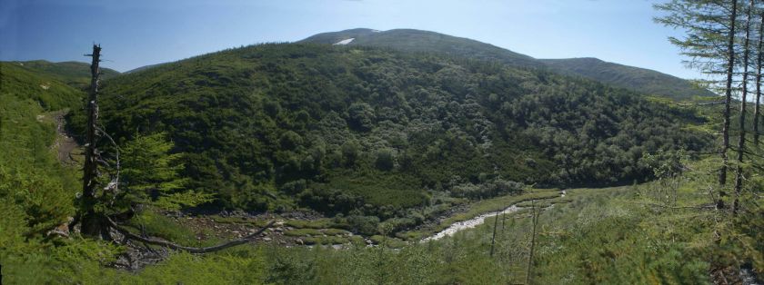 Речка Окса. Панорама