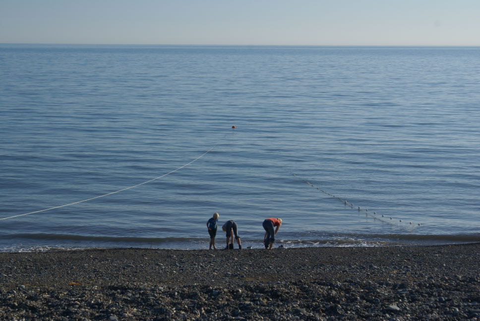 Охотское море. Сеть