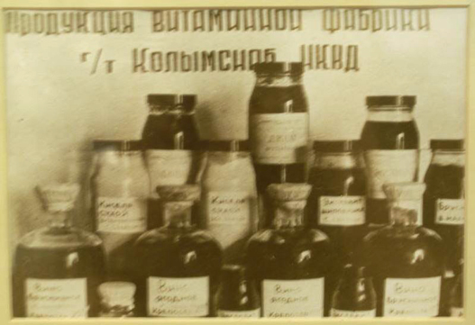 Продукция витаминной фабрики г/к Колымснаб НКВД: кисели, концентраты хвои кедрового стланника
