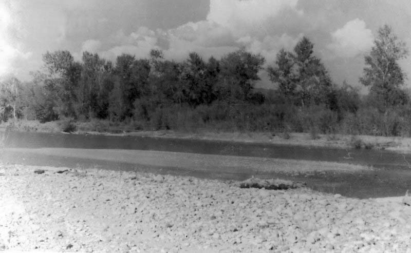 Речка впадает в озеро Дус-Холь. Тува. 1953-1954