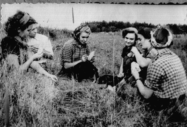 ГФФ-53