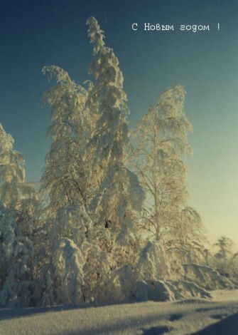 С Новым Годом!