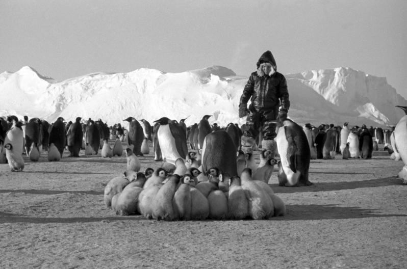 Антарктида 1956 г.