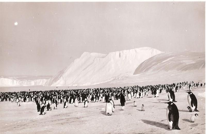 Bизит на ст. Мирный (Антарктида 1956 г.)