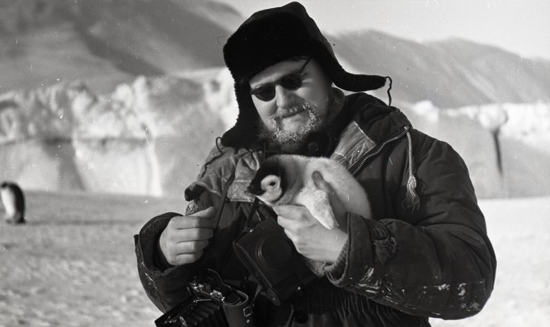 Коптев В.И. с пингвиненком (Антарктида 1956г.)